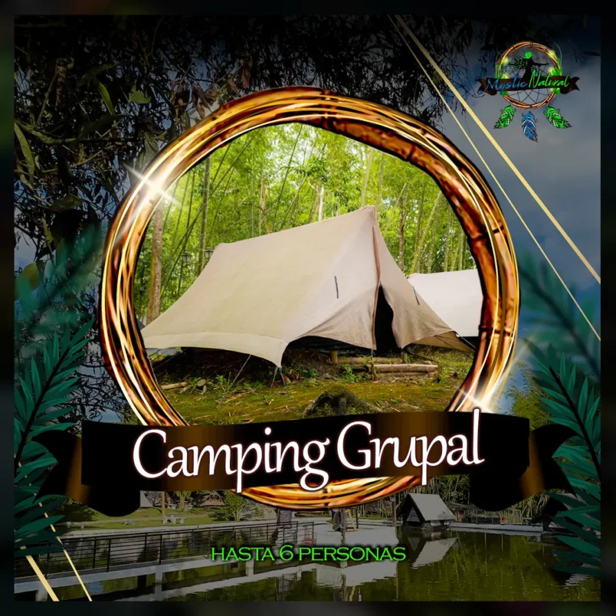 Camping Élite (Hasta 6 personas)